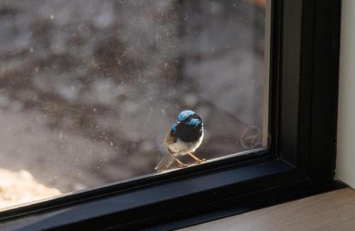 Island Beach Villa | The Dunes