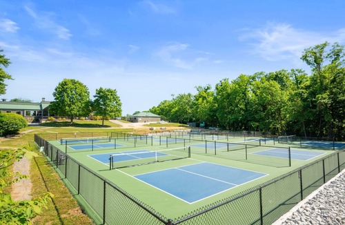 Avoca Condo | The Eagle's Nest & Bird Watching