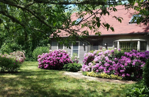 Eastham House | " The Eastham Cape House"