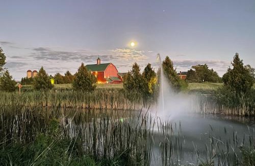 Bloomfield Hotel | The Eddie Hotel and Farm