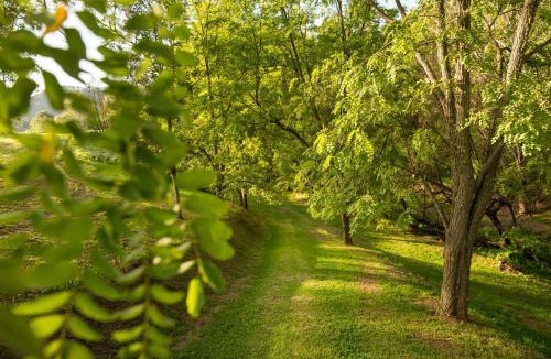 Mount View Villa | The Edge Villa