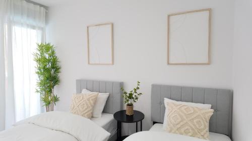 Moscardo Apartment | The Eight Element Suites & Lofts