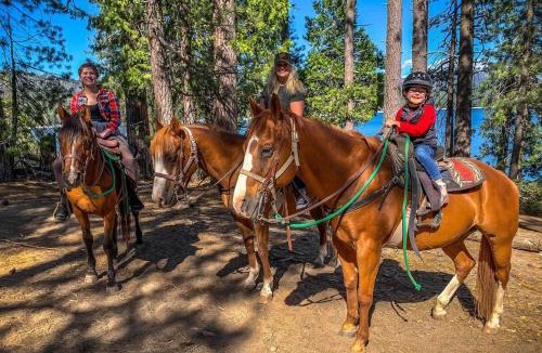 Shaver Lake House | The Elderberry Retreat - It's a Dream Location!