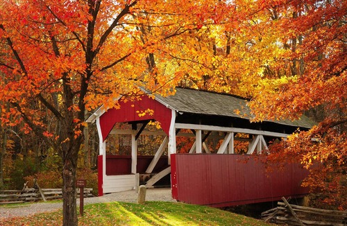 Denver House | The Enchanted Hideaway: Comfy King Bed & Fireplace