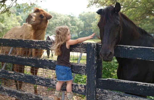 Cat Spring House | The Enchanting Lehmann House on our Cowboy Ranch B&B with optional activities!