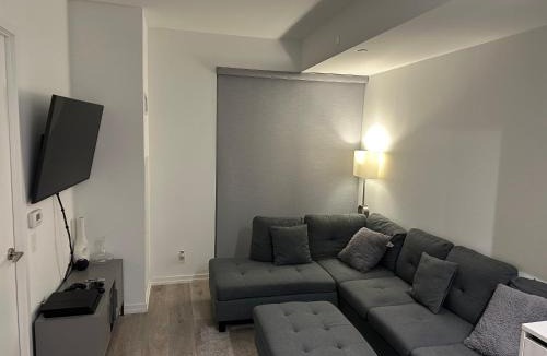 Vaughan Apartment | The Evergreen Shelter