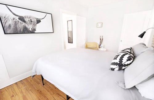 Lower Greenville Apartment | The Explorer's Hearth Lower-Greenville Ave Area