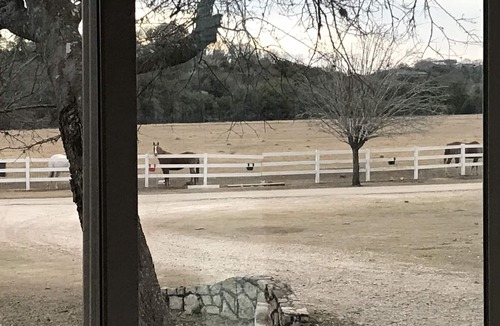 Boerne Cabin | The FarmHouse @ HomeAway Ranch