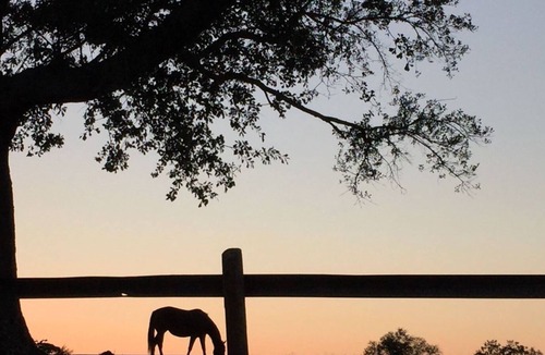 Madison Bed & Breakfast | The Farmhouse Inn