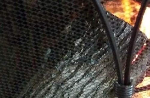 Rutledge House | The Firefly at Madison Hearth Room