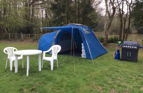 Ashford Cabin | The Firs