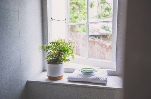 Avalon Beach Apartment | The Fish Shack - Private Path to Beach