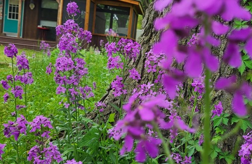 Elkins House | The Flip Flop House