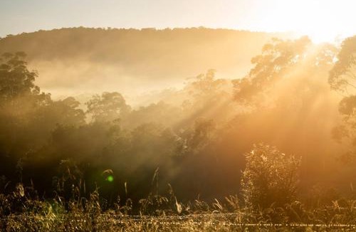 Boolambayte House | The Fog Getaway 2 by Tiny Away