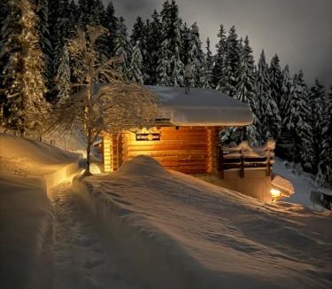La Comballaz Cabin | The Forest House