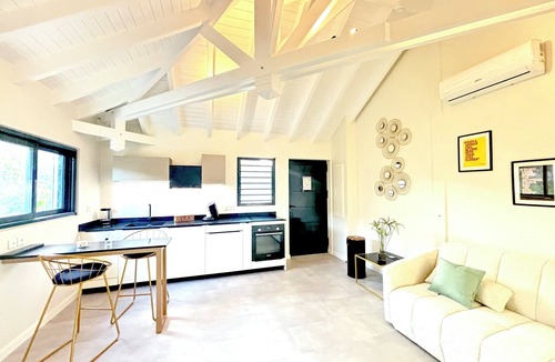 Anse Marcel Apartment | The Forest