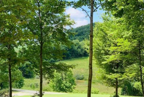 Southern House | The Fox Den - Foxtail Orchards Inc