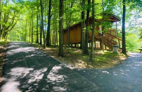 Southern House | The Fox Den - Foxtail Orchards Inc