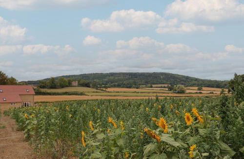 East Chinnock House | The Fox Den