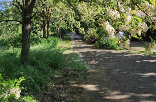 Marges Bed & Breakfast | The champos building