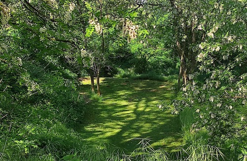 Marges Bed & Breakfast | The champos building