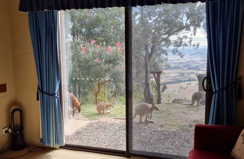 Vacy Cabin | The gallery - eco-friendly atmosphere