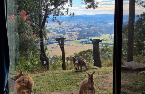 Vacy Cabin | The gallery - eco-friendly atmosphere