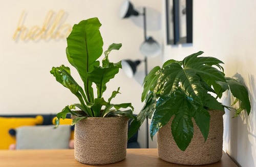 Exmouth Apartment | The Garden Flat