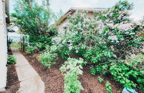 Montgomery Apartment | The Gateway - Central House Family Yard Firepit