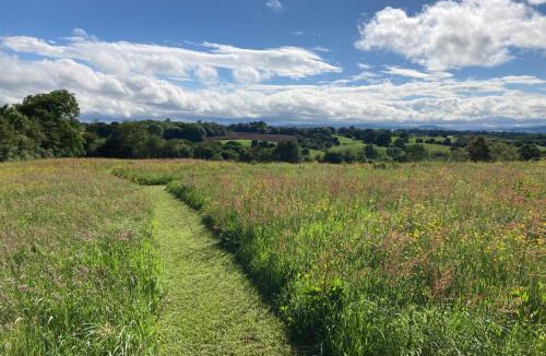 Overton-on-dee House | The Gin Palace with cozy logburner