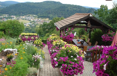 Haselbourg House | The gîte Fleuri with a magnificent view