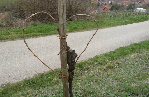 Epfig Apartment | The Gitzelbrunnen. Typical half-timbered house