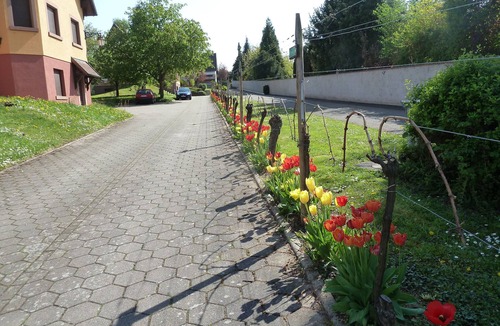 Epfig Apartment | The Gitzelbrunnen. Typical half-timbered house