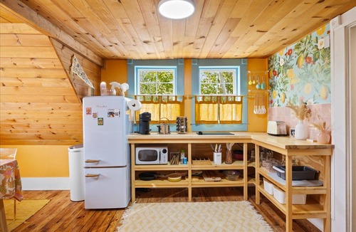 Wilmington Historic District Apartment | The Glass Garden - 60s/70s Retro-Themed Apartment
