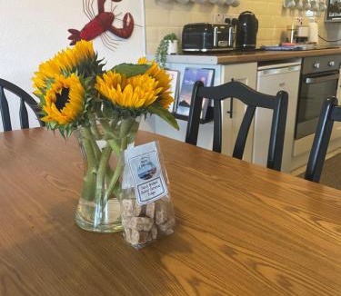 Bude Ski Chalet | The Good Lodge