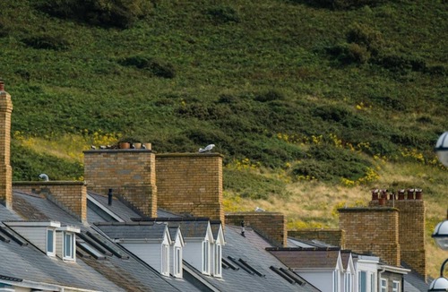 Chancery Cottage | The Granary, Aberystwyth