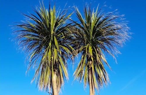 Buckie House | The Granary