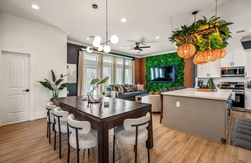 South Central Houston Apartment | The Green Haus Luxxe Cabana Rooftop Retreat