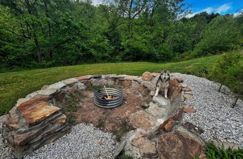 Heidelberg House | The Green House - Private Cozy -Pets -Wifi -RRG