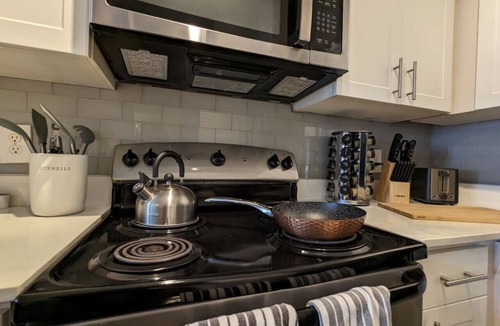 Nassau Bay Apartment | The Green Room 2.0 - 1BD/1BA near NASA JSC