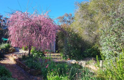 Castlemaine House | The Greenery