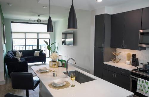 Texas Medical Center Apartment | The Greenleaf Getaway Near NRG Stadium