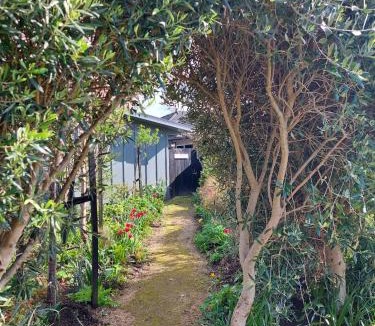 Carterton Apartment | The Grey Studio@13a