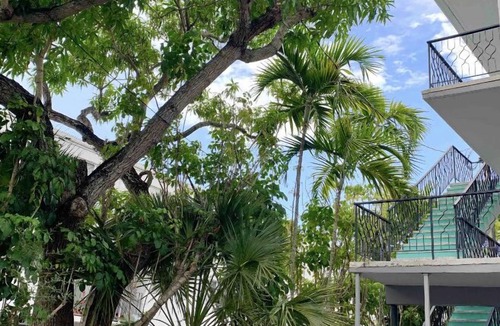 Coconut Grove Apartment | THE GROVE 4 10 MIN FROM THE BEACH. In the heart of Coconut Grove and CocoWalk