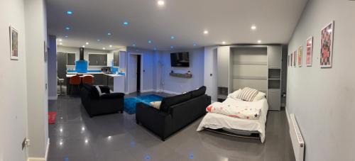 Winewall Apartment | The halfway house