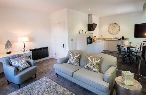 Carlisle Apartment | The Halston