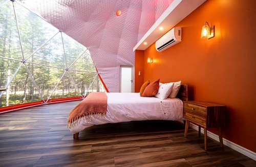 Queens County Cabin | The Harvest