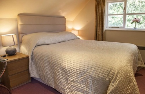 Chute Hotel | The Hatchet Inn