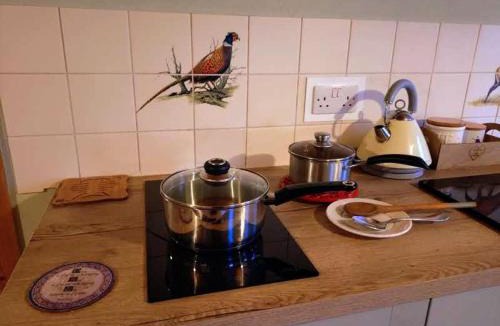 Trewen Apartment | The Haven