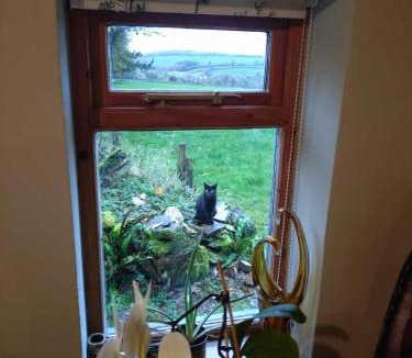 Trewen Apartment | The Haven